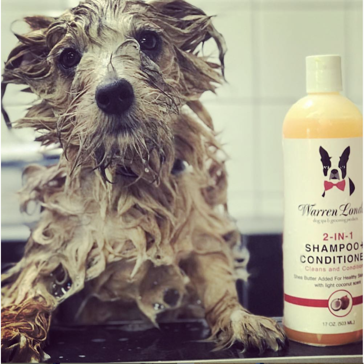 Warren London 2in1 plus Conditioner