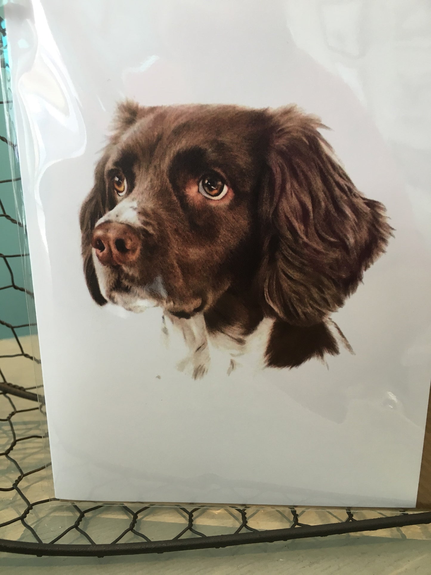 Jessica Lennox Artist Tricky Card