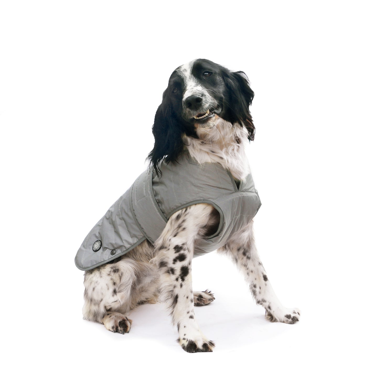 Ultimate Reflective Coat