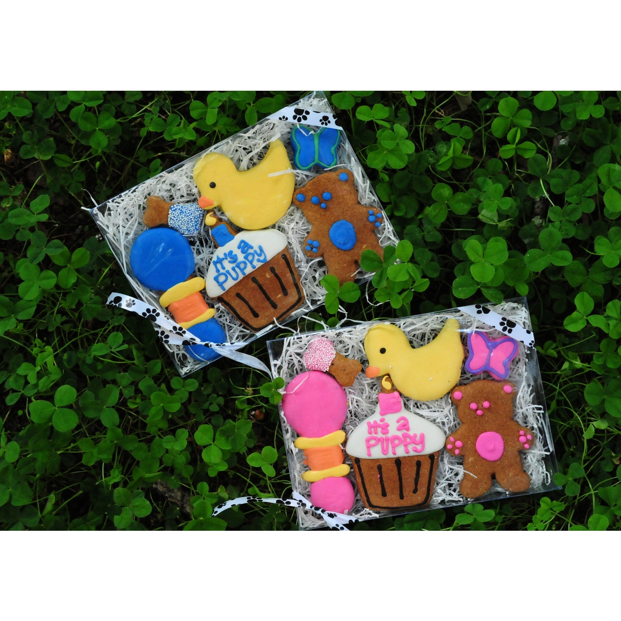 It's a Puppy Gift Box Dog Treat