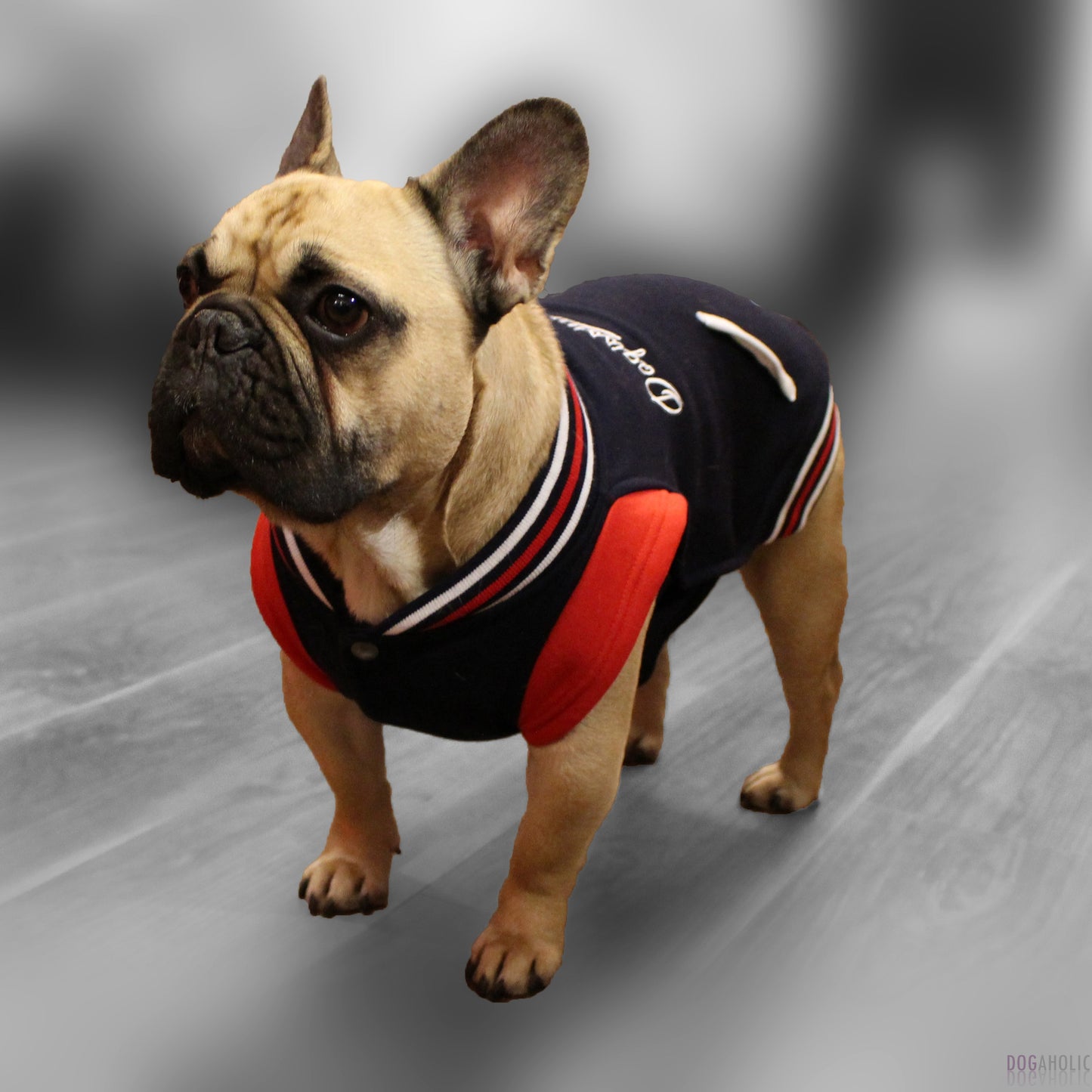 Dogissimo Baseball Hoodie