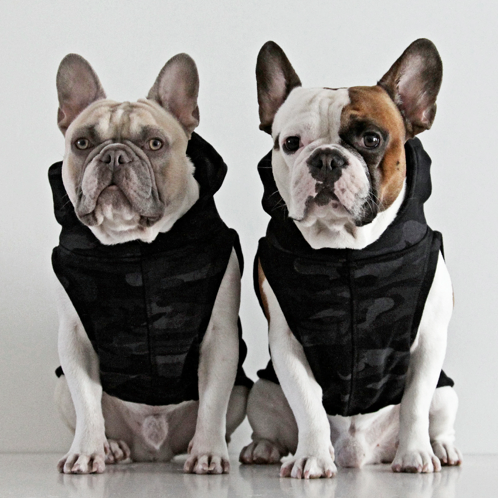 French sales bulldog hoodies