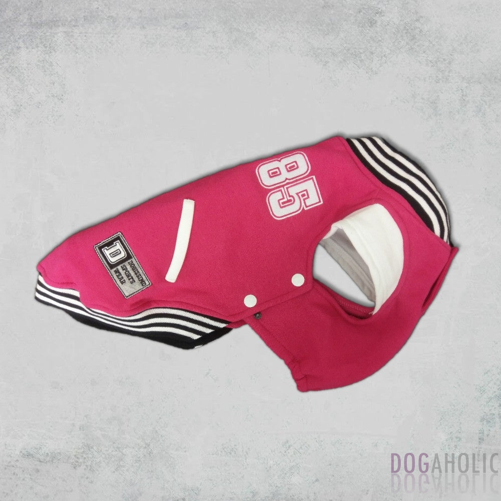 Dogissimo Baseball Hoodie