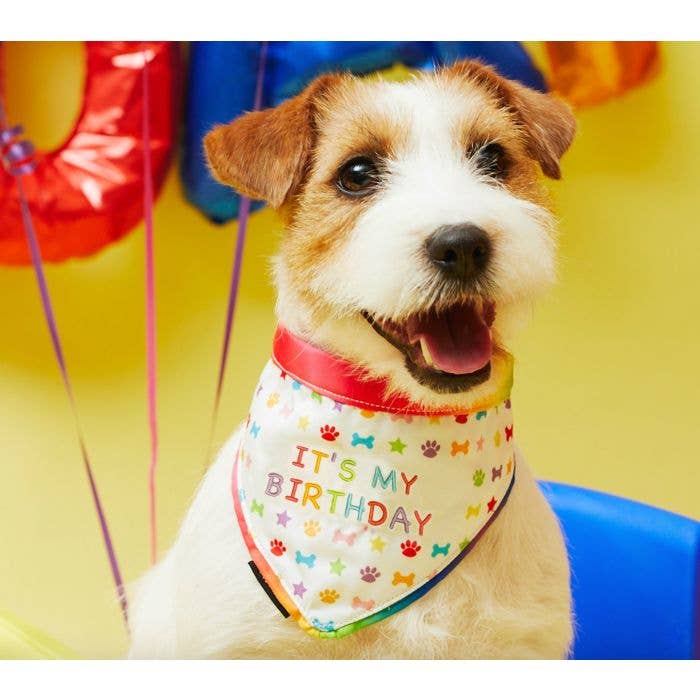 Happy Birthday Dog Bandana