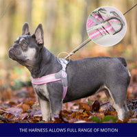 Easy Walk V Dog Harness - Pink
