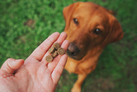 Puppy Bites - Low Cal Training Treats