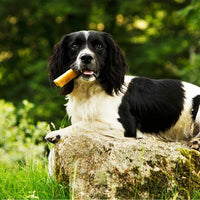 Petello Yak Cheese Dog Chew