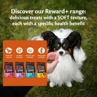 Wellness CORE Dog Treats Reward+ Skin & Coat Salmon