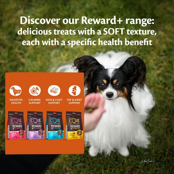 Wellness CORE Dog Treats Adult Reward+ Mobility Turkey
