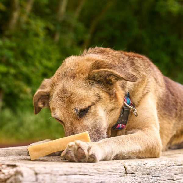 Petello Yak Cheese with COCONUT Dog Chew