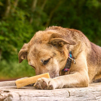 Petello Yak Cheese with COCONUT Dog Chew
