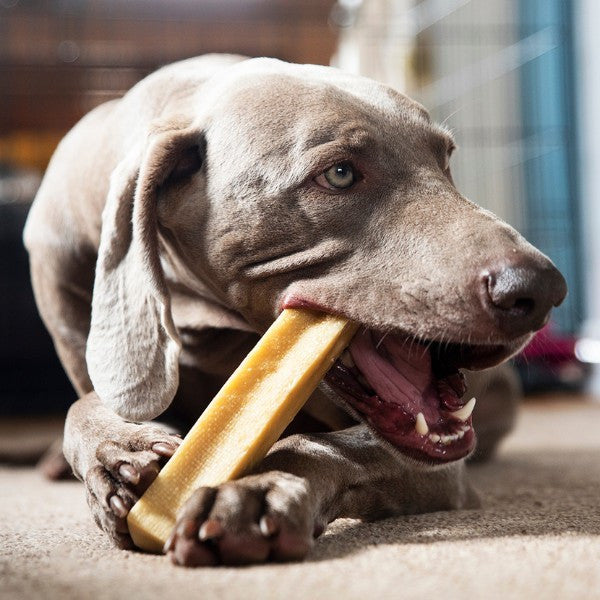 Petello Yak Cheese Dog Chew