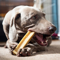 Petello Yak Cheese Dog Chew