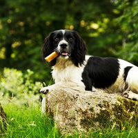 Petello Yak Cheese with COCONUT Dog Chew
