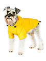 Urban Pup Explorer Windbreaker Sport Jacket
