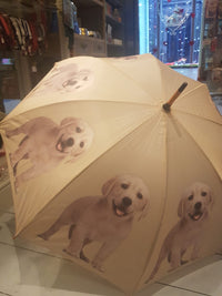 Large Pet Umbrellas