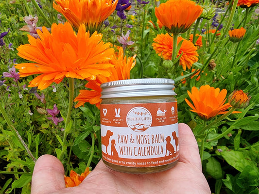 Mountain Garden Botanics Nose and Paw Balm with Calendula