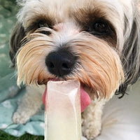 Woof&Brew Paw Pops Freeze Pops for Dogs
