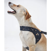 Navy Astral Leather Harness