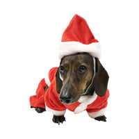 Dog Santa Costume