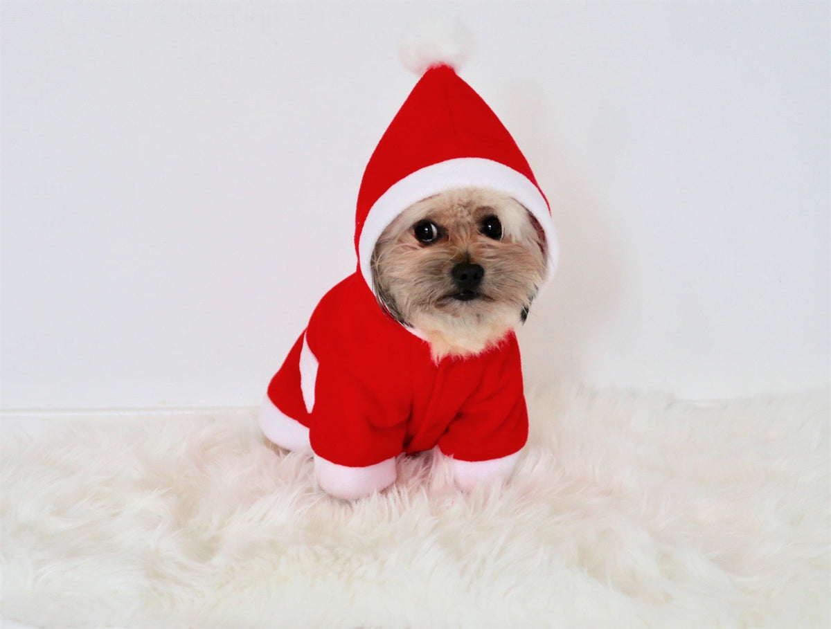 Urban Pup Santa's Christmas Coat
