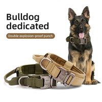 Pet Play Day Metal Buckle Collar and Lead Combo- Khaki