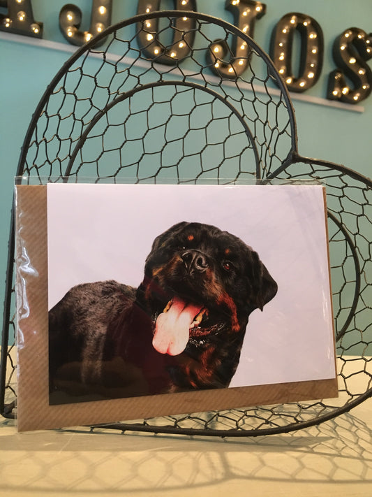 Jessica Lennox Artist  Spike Card