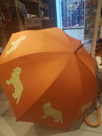 The San Fransisco Umbrella Co Animal Print Umbrella