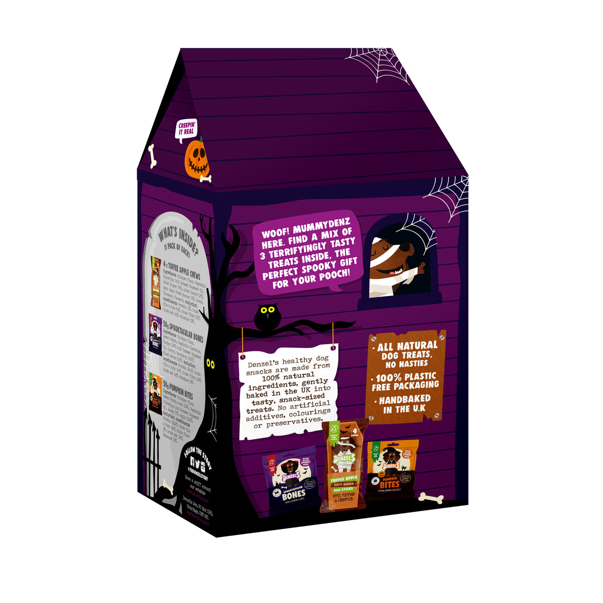 Halloween Haunted House Gift Box for Dogs