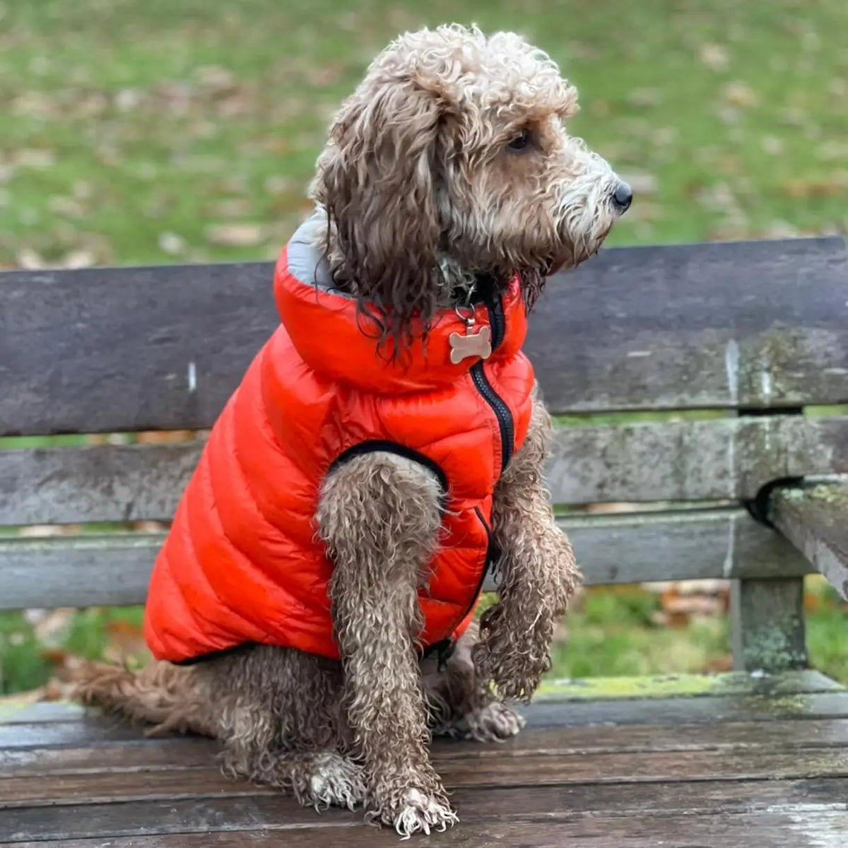Orange Puffer Reversible Dog Jacket BellaJoJos