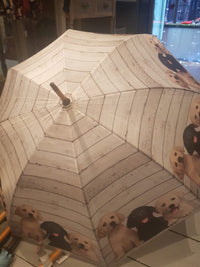 Large Pet Umbrellas