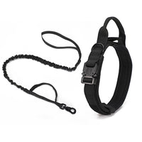 Pet Play Day Metal Buckle Collar and Lead Combo- Black