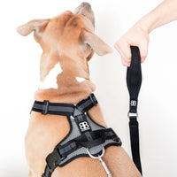 BullyBillows Active Light Dog Harness