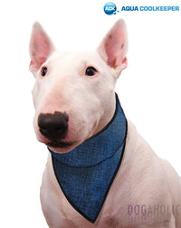 Aqua Coolkeeper® Cooling Dog Bandana