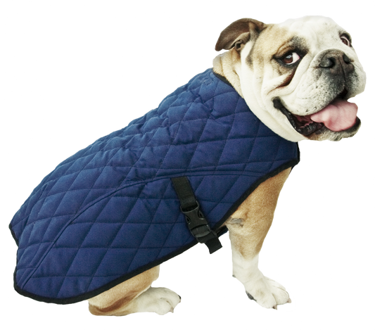 Aqua Coolkeeper® Cooling Dog Coat