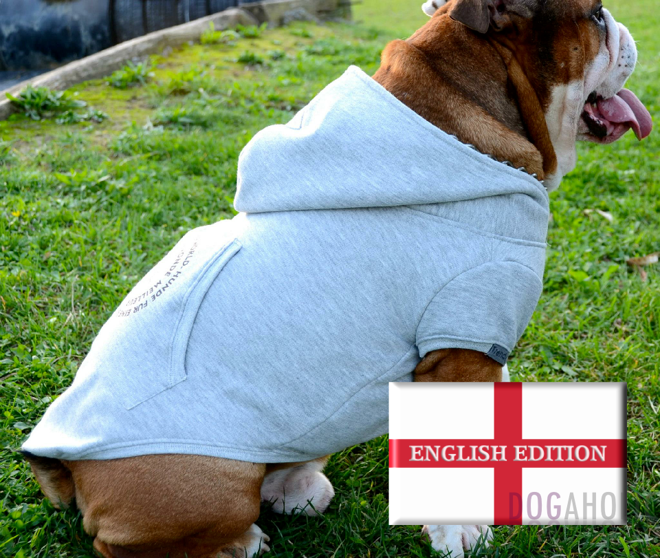 Trendy4Paws Barikka Bulldog Hoodie BellaJoJos