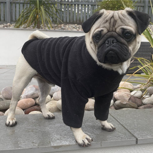 Pawsome Suits French Bulldog / Pug Jumper Fleece