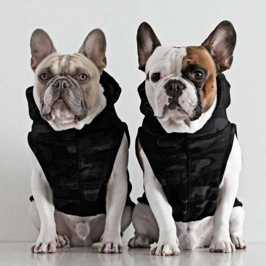 DOGISSIMO CAMO HOODIE FOR FRENCH BULLDOGS