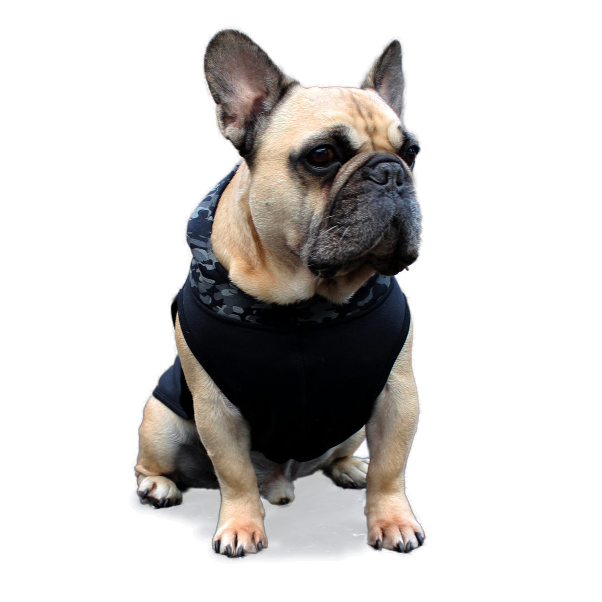 Dogissimo x CatwalkDog Camo Hoodie for Frenchie