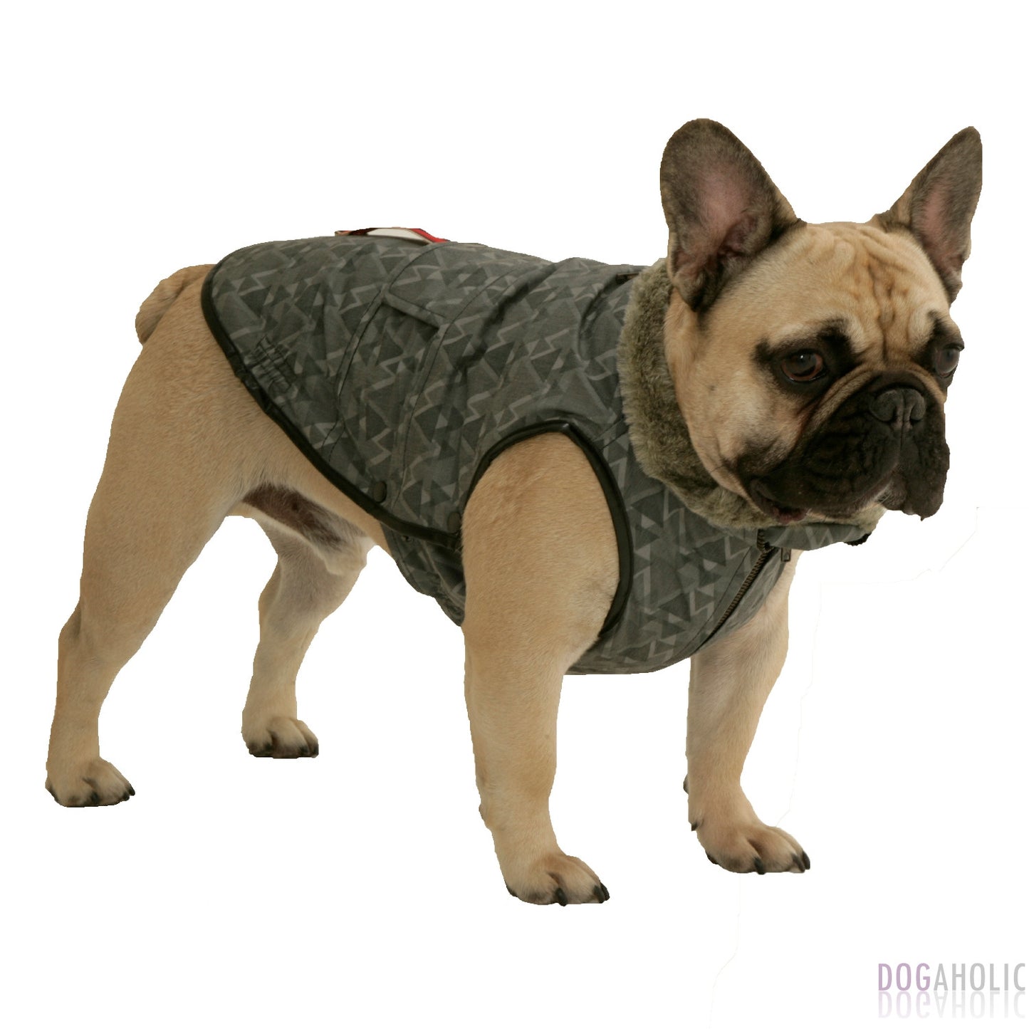 Dogissimo Camo Milan Coat