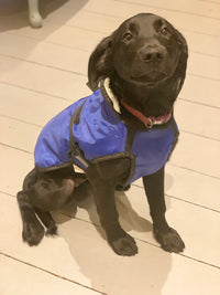 Waterproof Fleece Lined Dog Coat