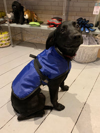 Waterproof Fleece Lined Dog Coat