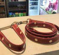 Cath Kidston Style Collar and Lead Set