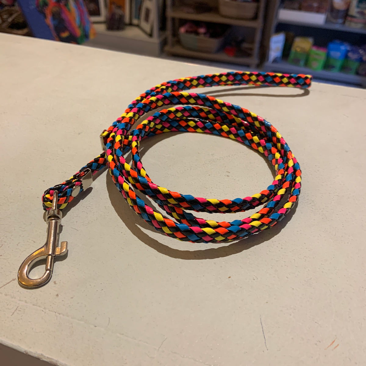Nylon Braided Dog Lead