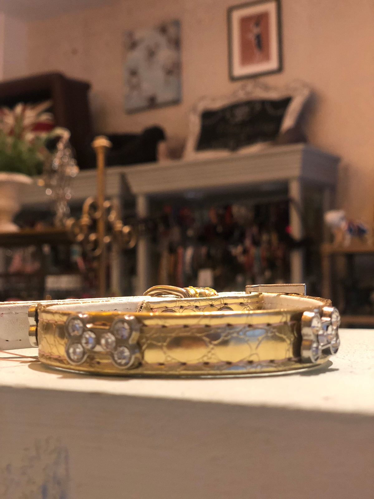 Gold Aligator Collar With Diamante Bone