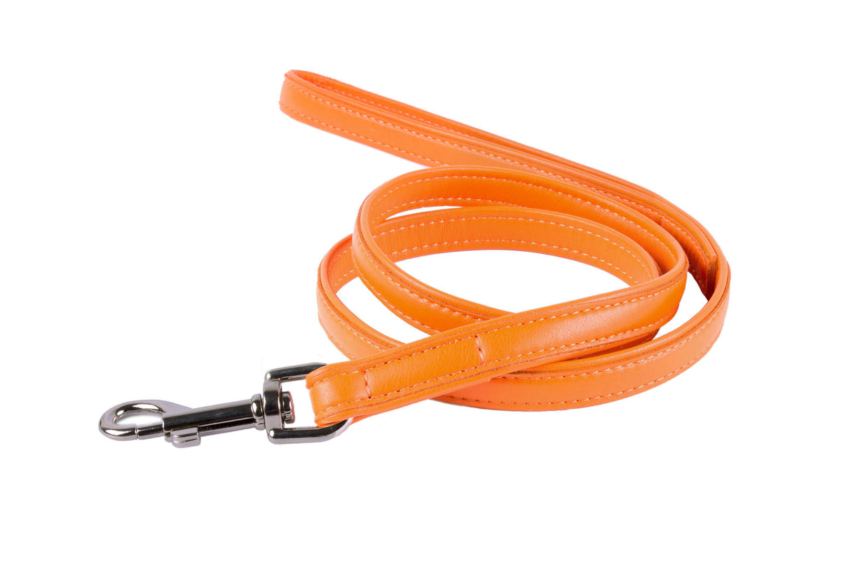 Soft Padded Leather Lead
