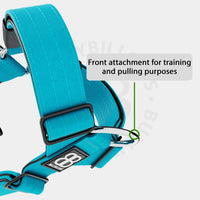 BullyBillows TRI-Harness® v2.0 (Anti-Pull) Dog Harness
