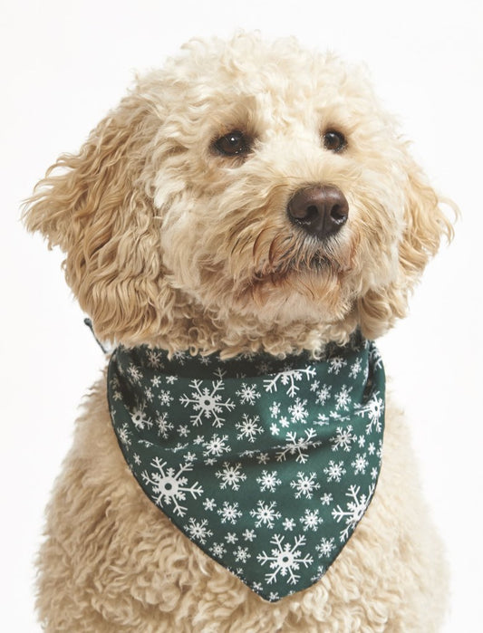 Green Snowflake Christmas Bandana