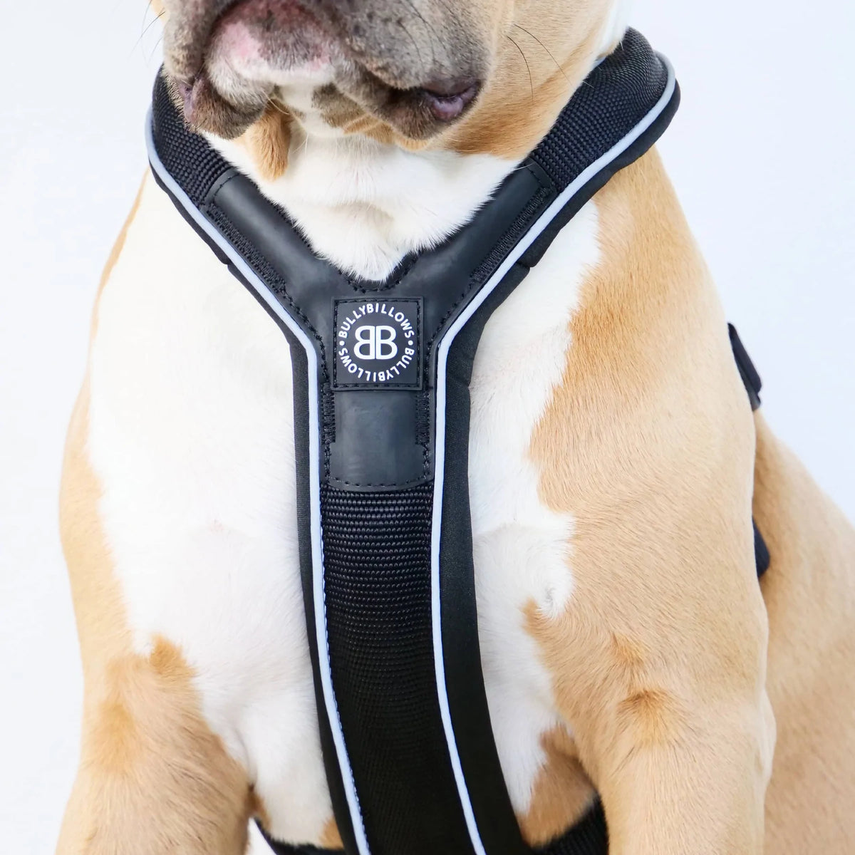 BullyBillows RR Slip On Dog Harness