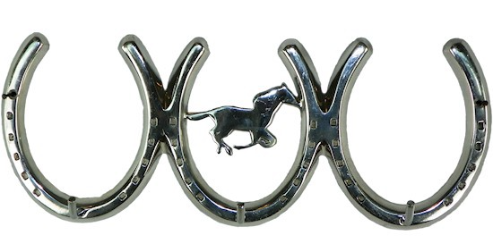 Horseshoes Aluminium Wall Hangers